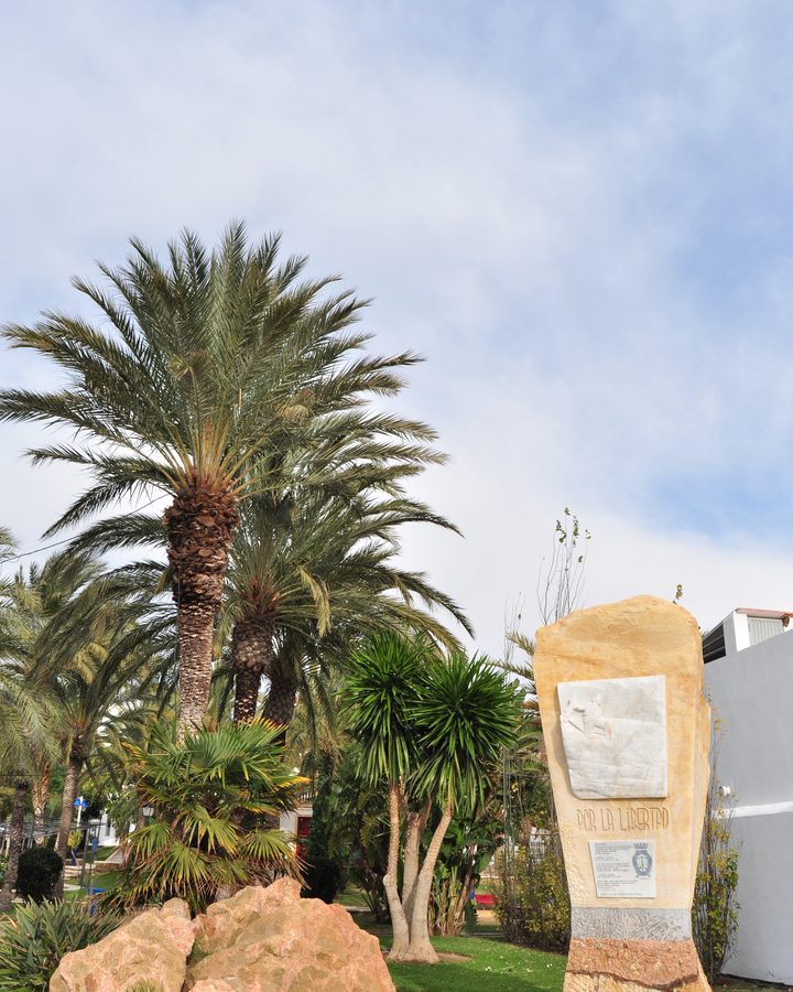 Palmeras en un parque de Carboneras, en Almería