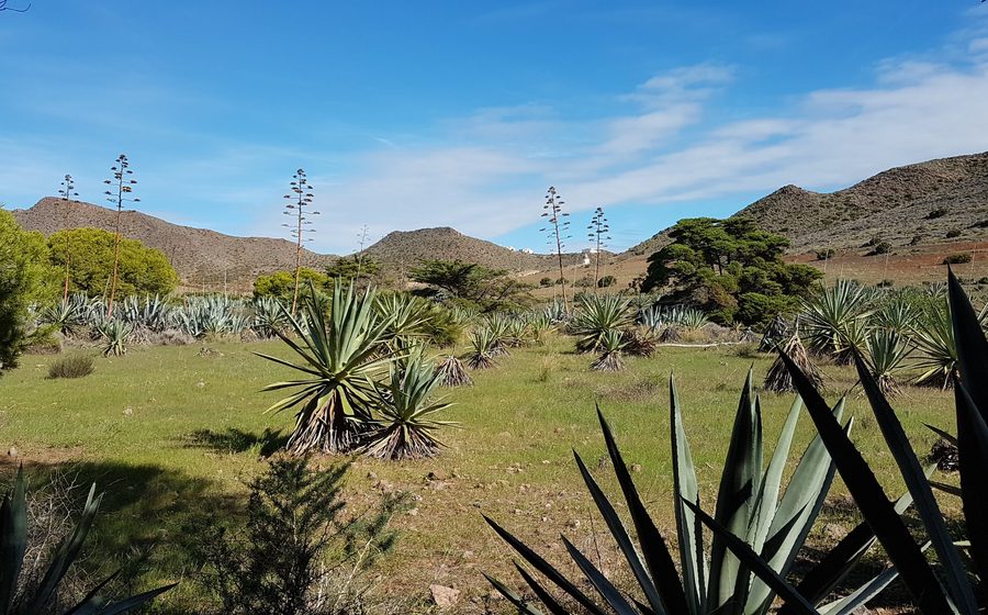 Playa de los Genoveses, en el Parque Natural de Cabo de Gata