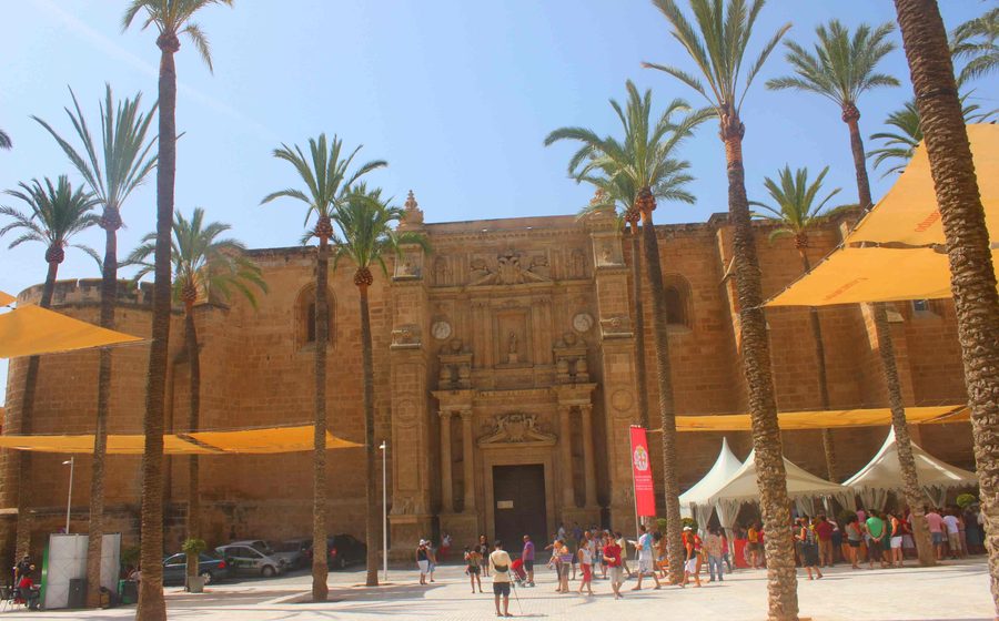 Plaza de la Catedral de Almería con palmeras